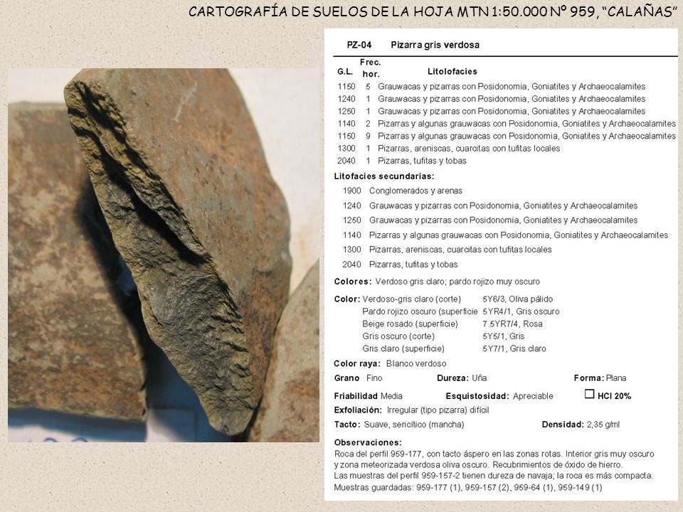 CARTOGRAFÍA DE SUELOS DE LA HOJA MTN 1: Nº 959, CALAÑAS