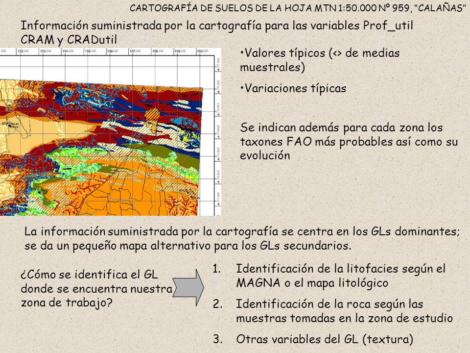 CARTOGRAFÍA DE SUELOS DE LA HOJA MTN 1: Nº 959, CALAÑAS