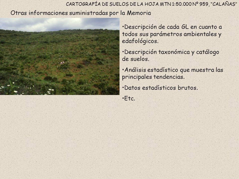CARTOGRAFÍA DE SUELOS DE LA HOJA MTN 1: Nº 959, CALAÑAS