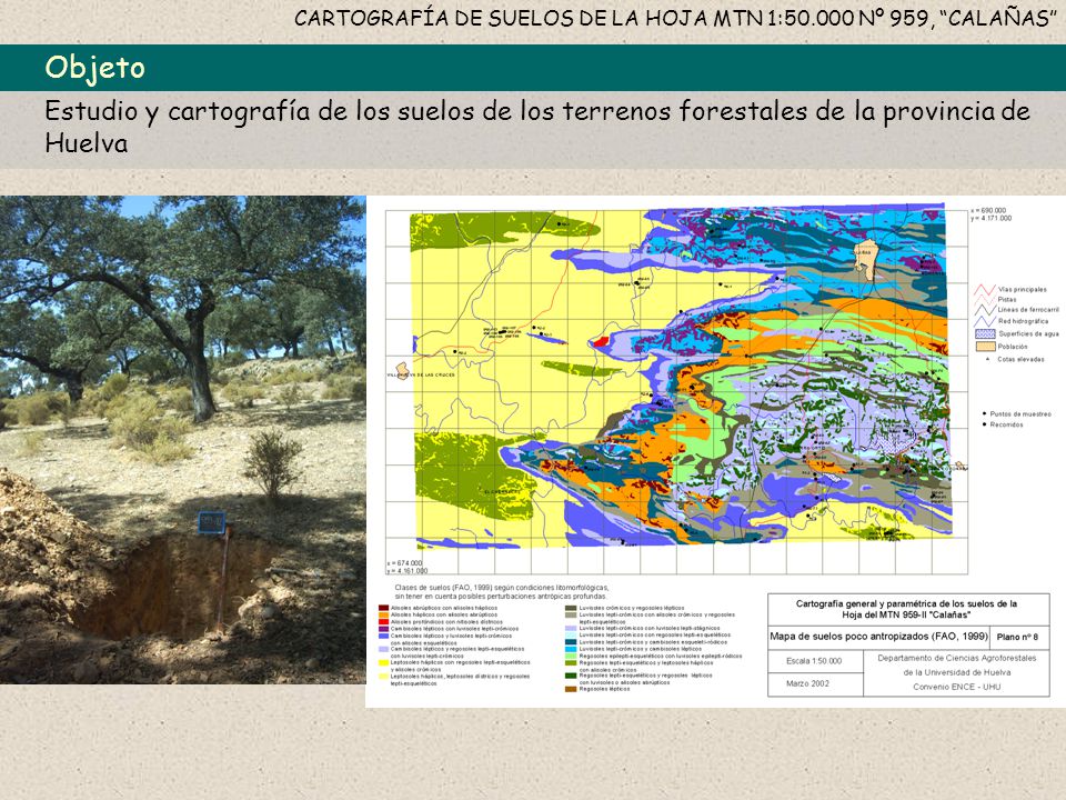 CARTOGRAFÍA DE SUELOS DE LA HOJA MTN 1: Nº 959, CALAÑAS