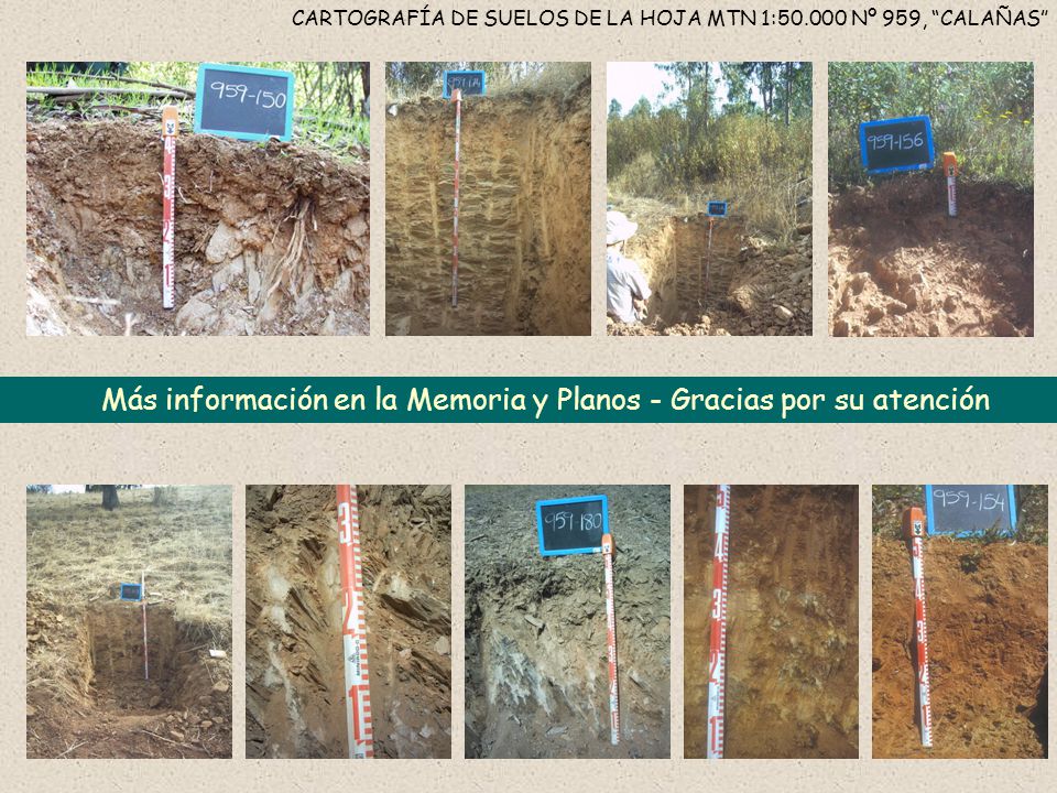 Más información en la Memoria y Planos - Gracias por su atención