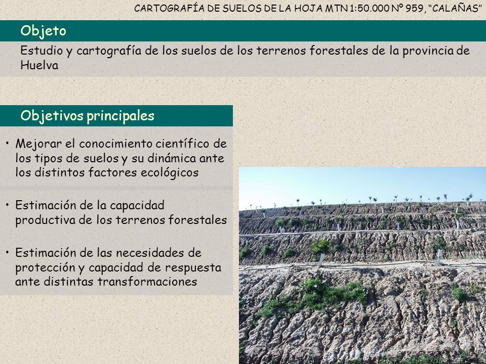 CARTOGRAFÍA DE SUELOS DE LA HOJA MTN 1: Nº 959, CALAÑAS