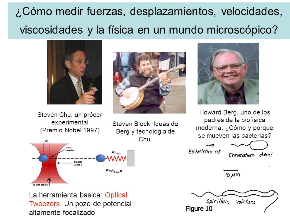 ¿Cómo medir fuerzas, desplazamientos, velocidades, viscosidades y la física en un mundo microscópico