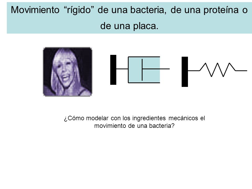 Movimiento rígido de una bacteria, de una proteína o de una placa.