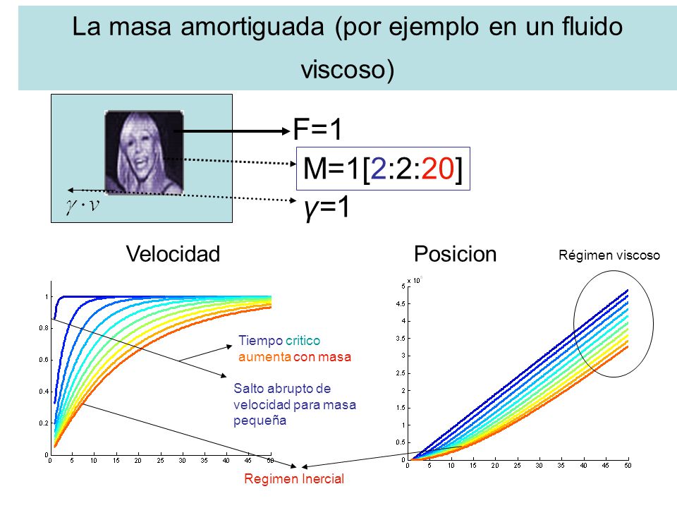 La masa amortiguada (por ejemplo en un fluido viscoso)
