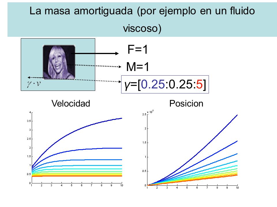 La masa amortiguada (por ejemplo en un fluido viscoso)