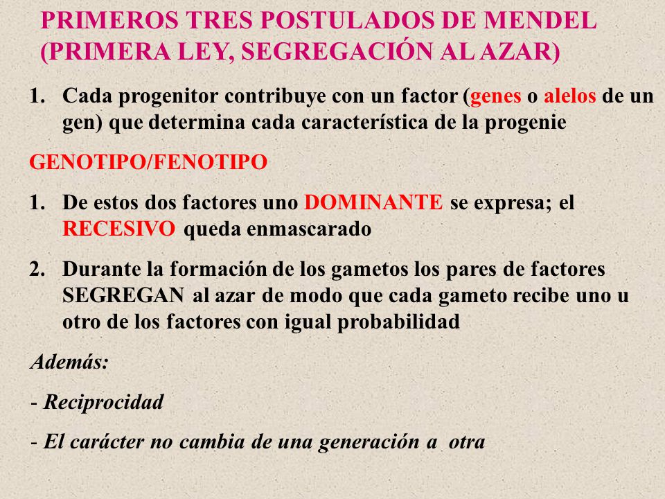 PRIMEROS TRES POSTULADOS DE MENDEL (PRIMERA LEY, SEGREGACIÓN AL AZAR)