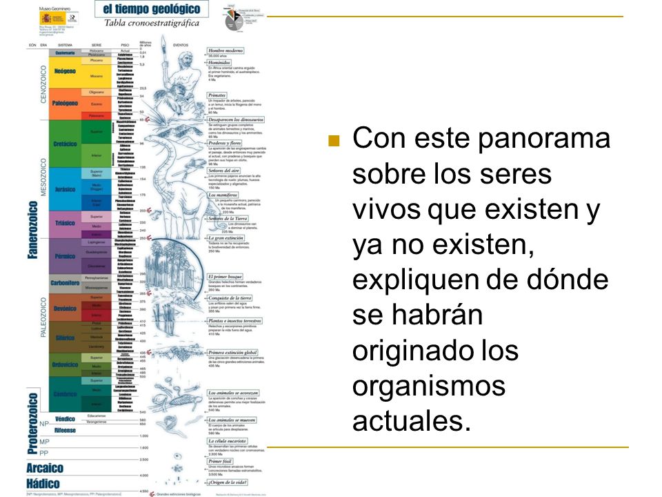 Con este panorama sobre los seres vivos que existen y ya no existen, expliquen de dónde se habrán originado los organismos actuales.
