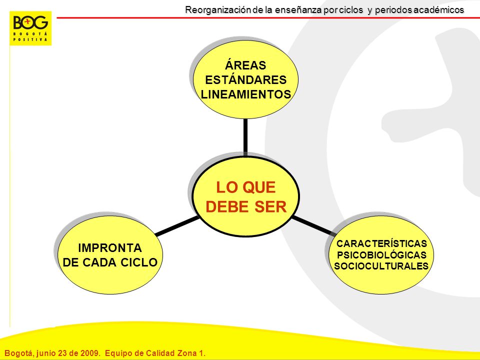 Reorganización de la enseñanza por ciclos y periodos académicos