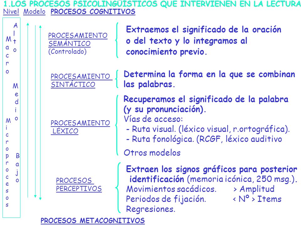 Determina la forma en la que se combinan las palabras.