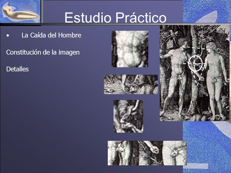 Estudio Práctico La Caída del Hombre Constitución de la imagen