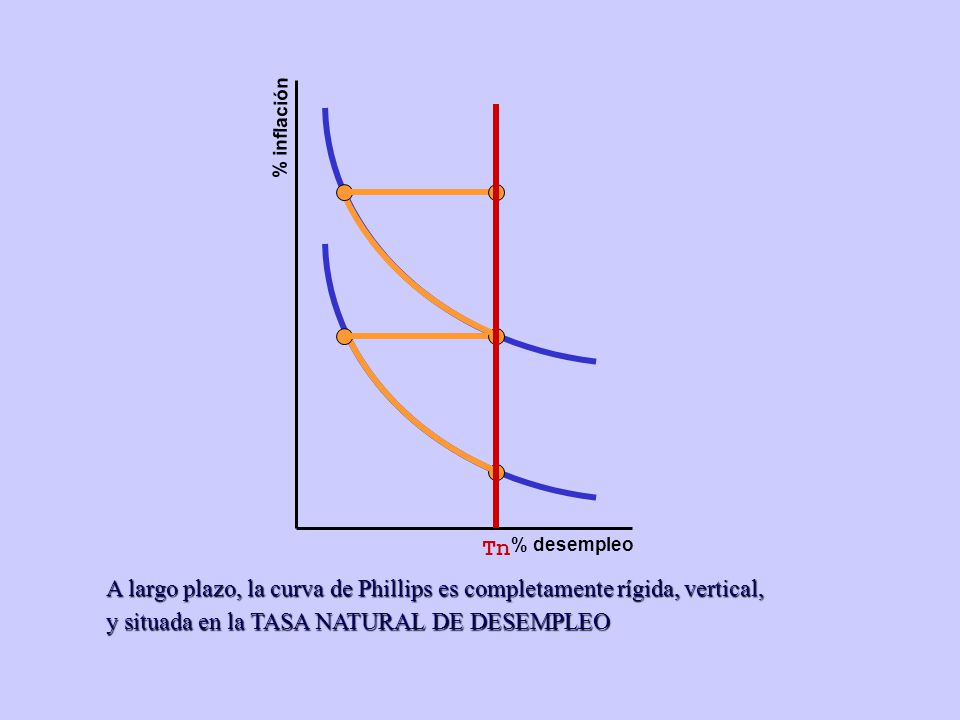 A largo plazo, la curva de Phillips es completamente rígida, vertical,