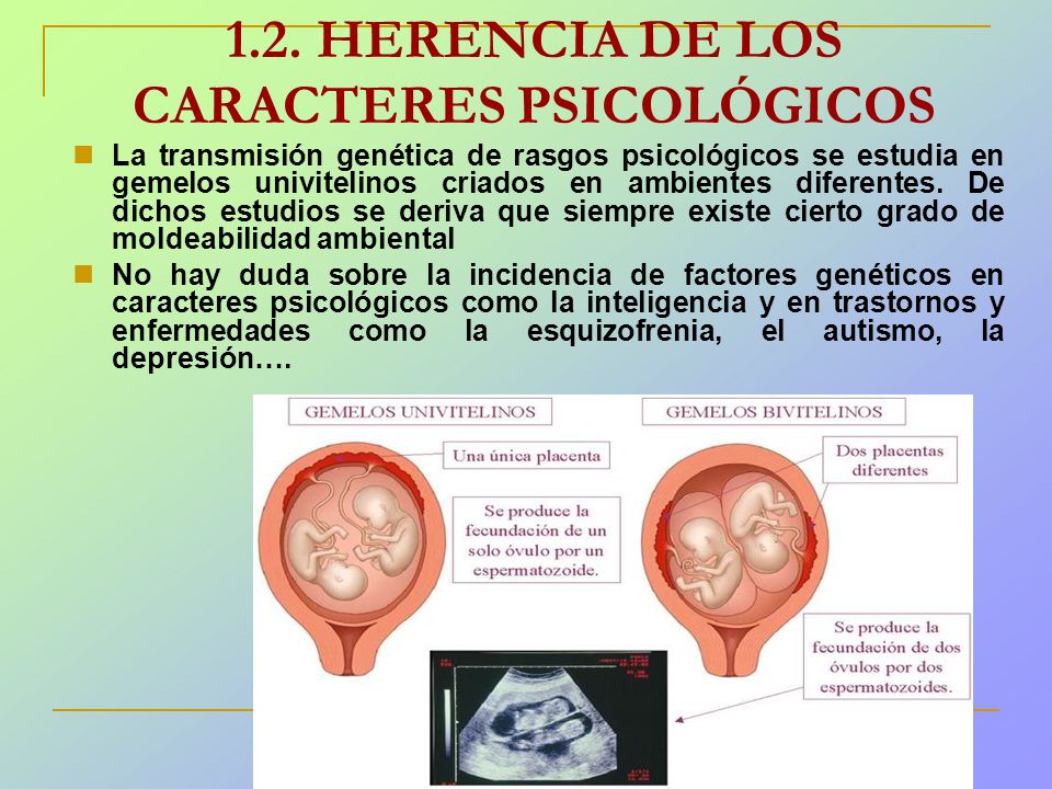1.2. HERENCIA DE LOS CARACTERES PSICOLÓGICOS
