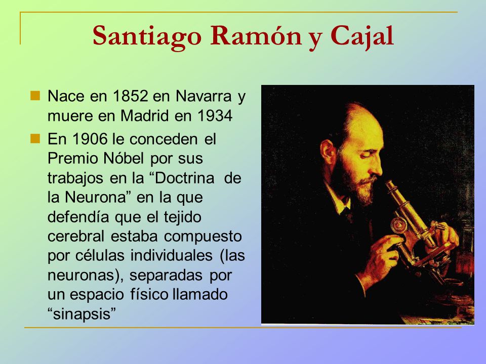 Santiago Ramón y Cajal Nace en 1852 en Navarra y muere en Madrid en