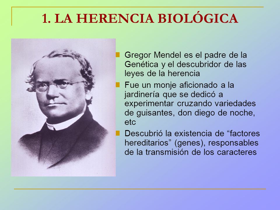 1. LA HERENCIA BIOLÓGICA Gregor Mendel es el padre de la Genética y el descubridor de las leyes de la herencia.