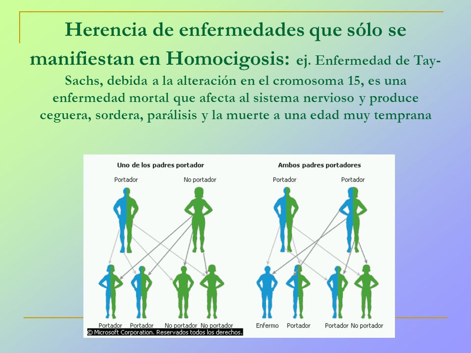 Herencia de enfermedades que sólo se manifiestan en Homocigosis: ej