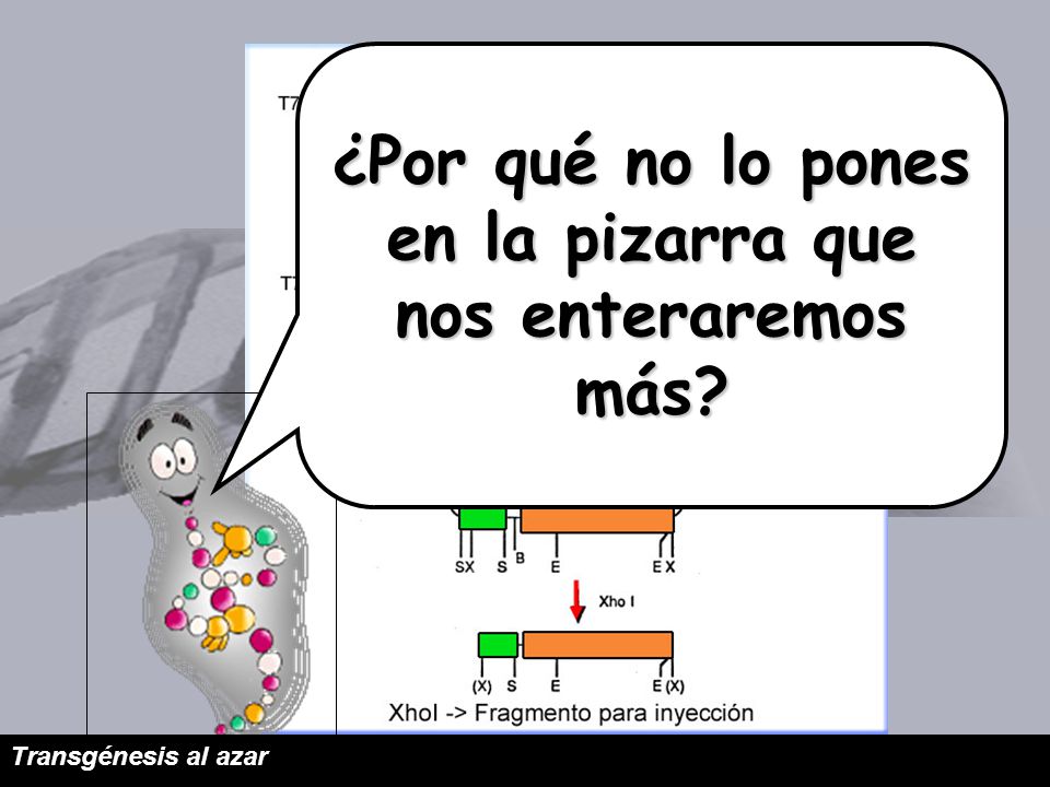 ¿Por qué no lo pones en la pizarra que nos enteraremos más