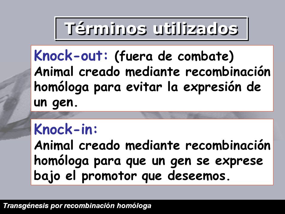 Términos utilizados Knock-out: (fuera de combate) Knock-in: