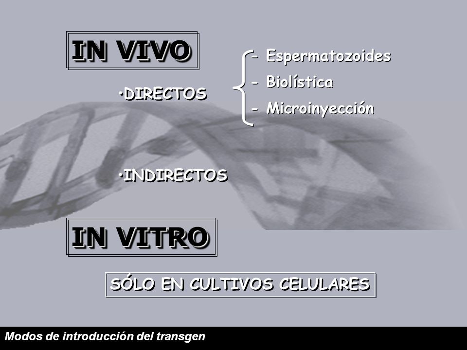IN VIVO IN VITRO - Espermatozoides - Biolística - Microinyección