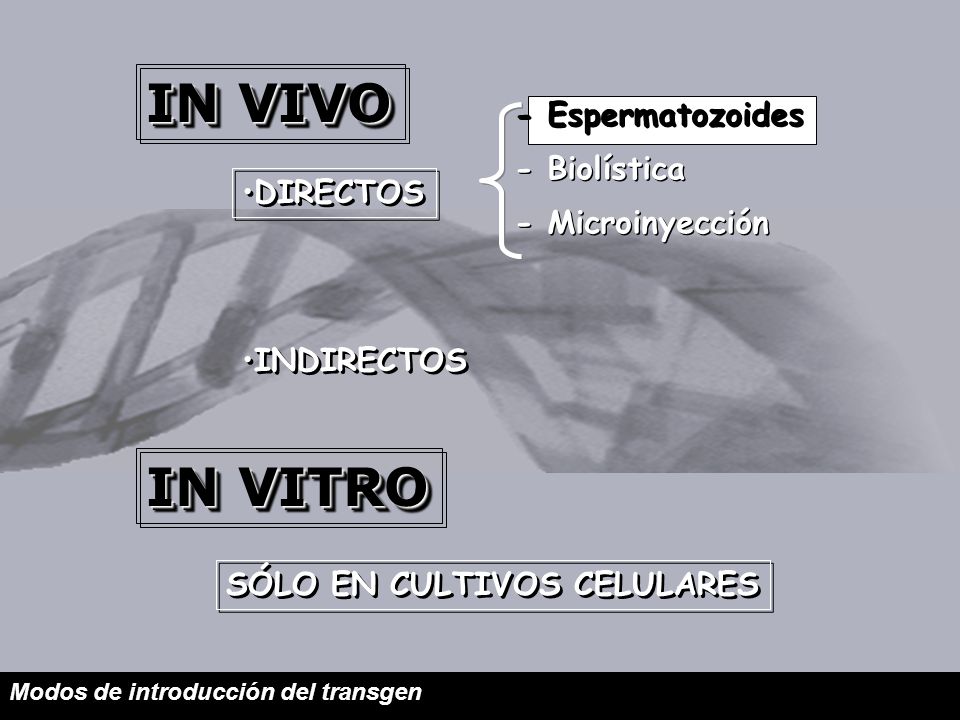 IN VIVO IN VITRO - Espermatozoides - Biolística - Microinyección