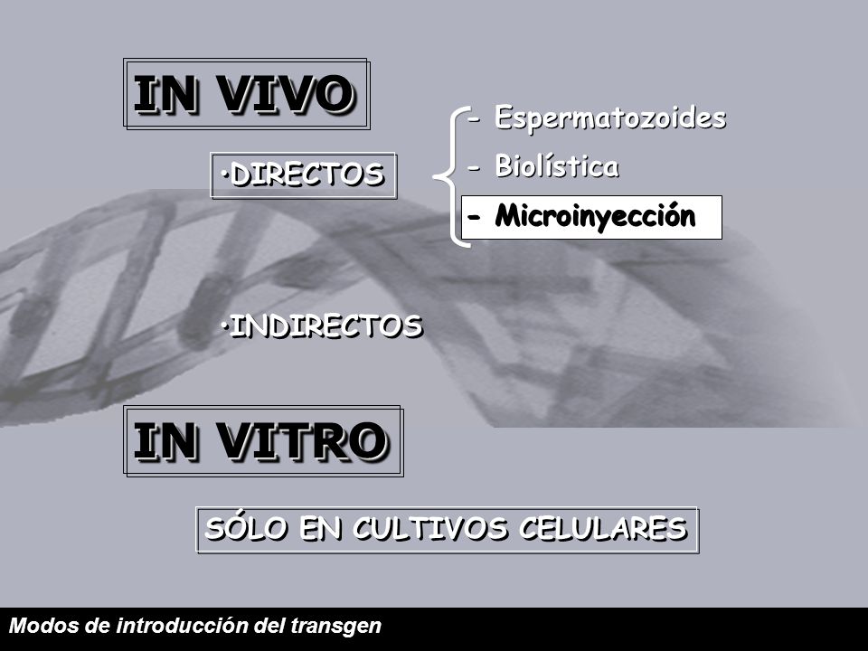 IN VIVO IN VITRO - Espermatozoides - Biolística - Microinyección