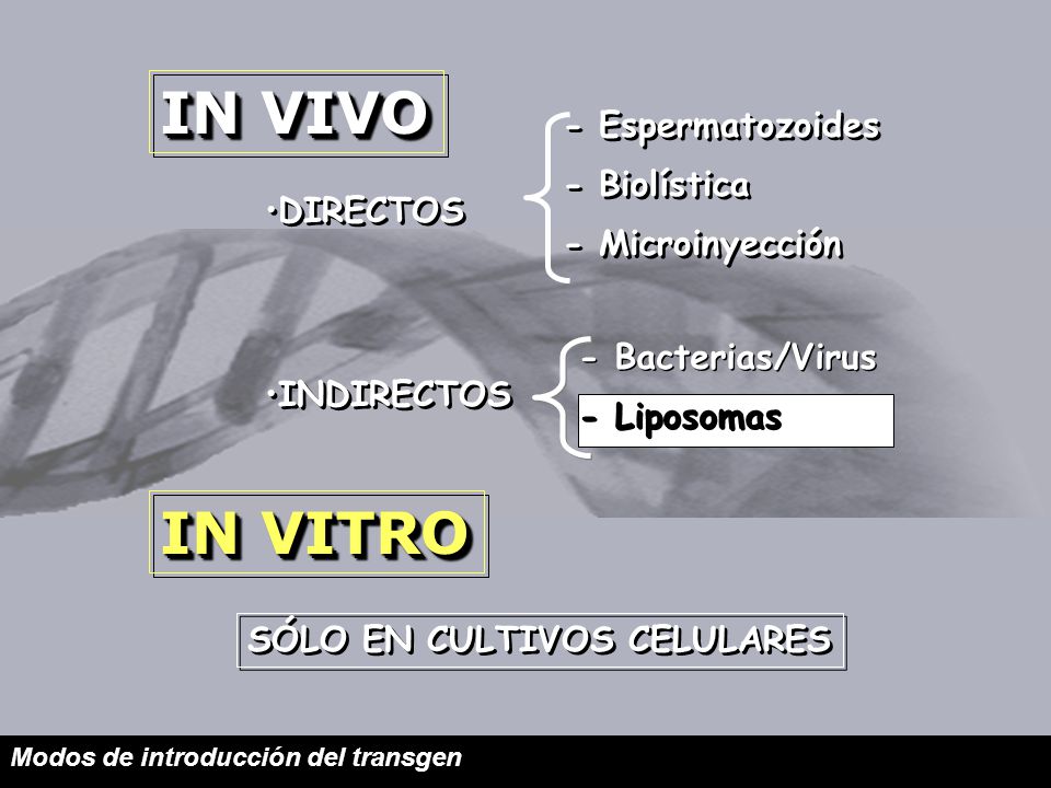 IN VIVO IN VITRO - Espermatozoides - Biolística - Microinyección