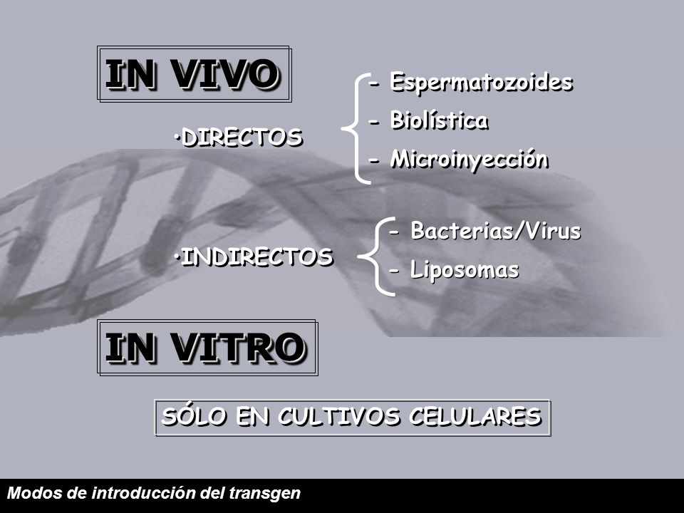 IN VIVO IN VITRO - Espermatozoides - Biolística - Microinyección