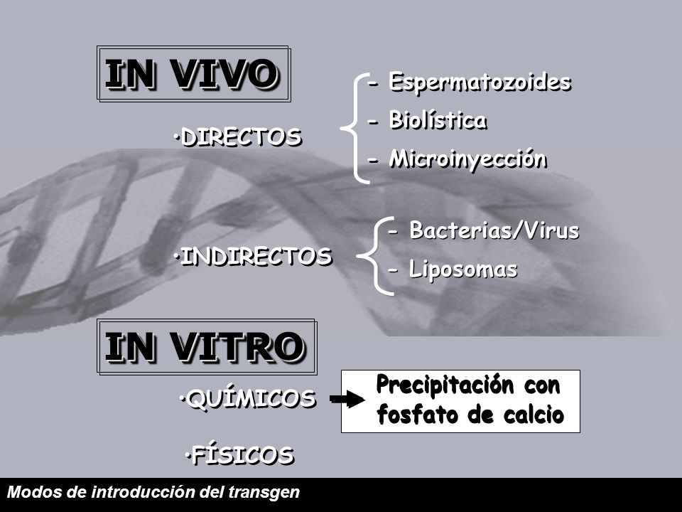 IN VIVO IN VITRO - Espermatozoides - Biolística - Microinyección
