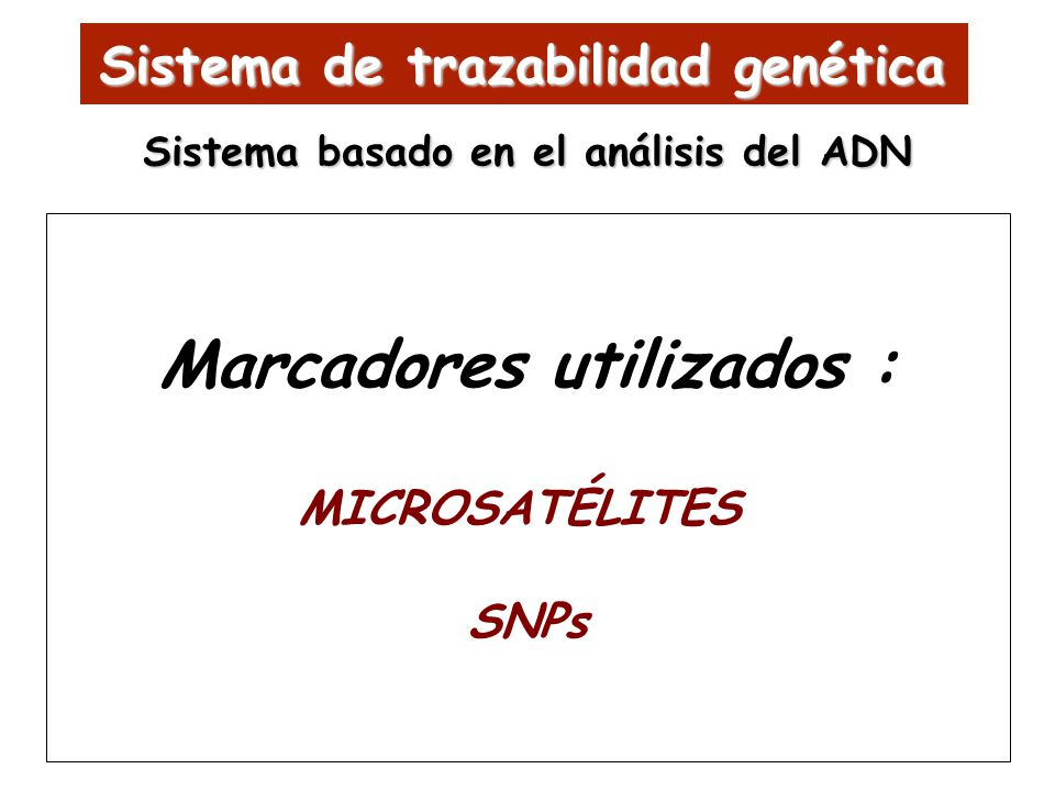Marcadores utilizados :