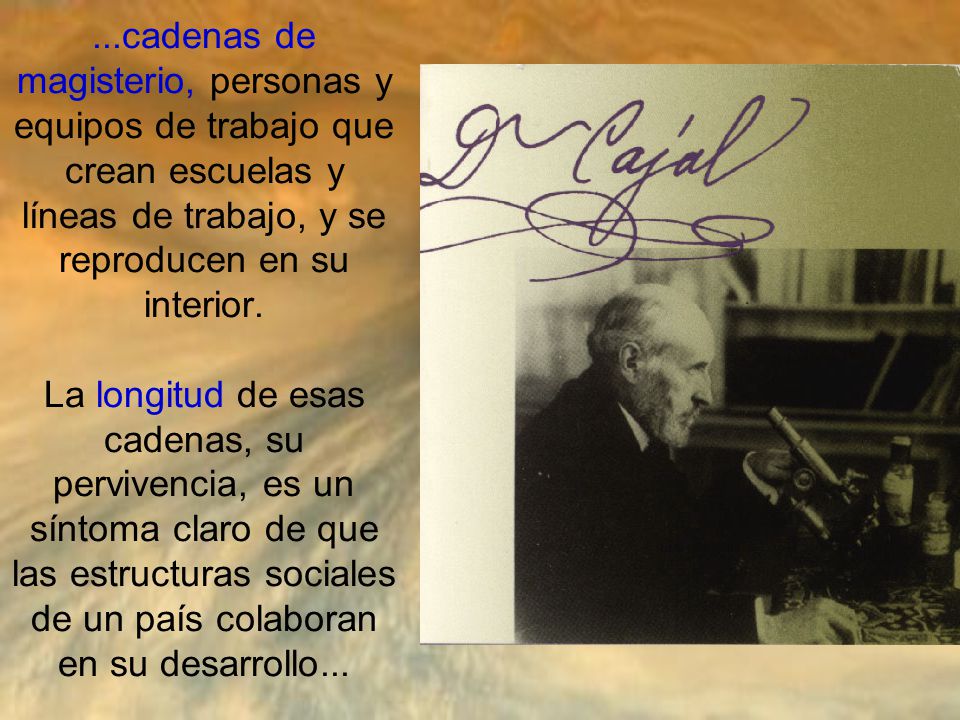 ...cadenas de magisterio, personas y equipos de trabajo que crean escuelas y líneas de trabajo, y se reproducen en su interior.