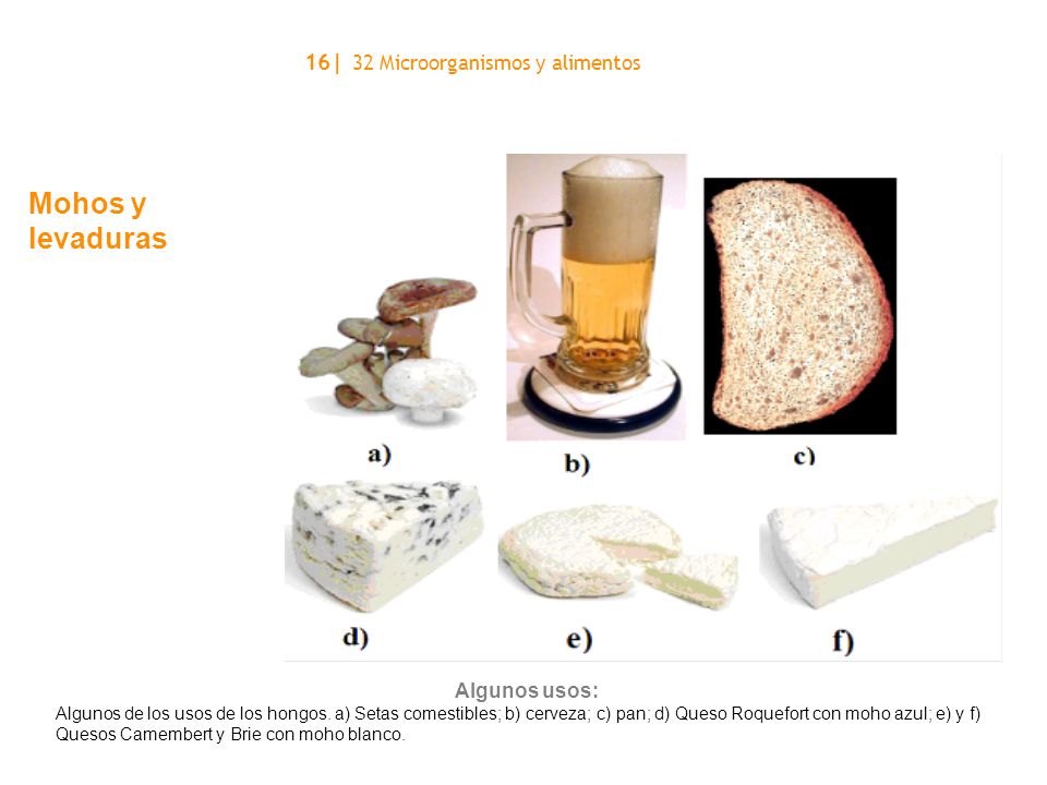 16| 32 Microorganismos y alimentos