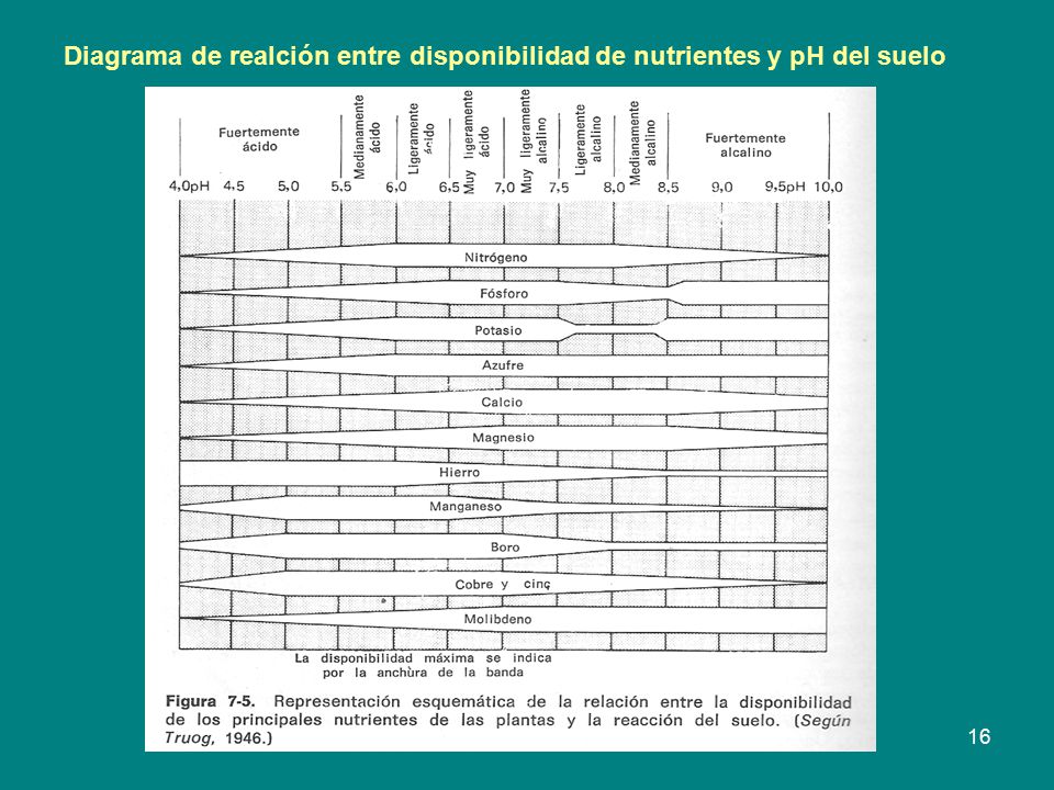 Diagrama de realción entre disponibilidad de nutrientes y pH del suelo
