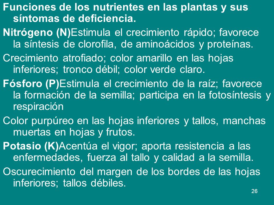 Funciones de los nutrientes en las plantas y sus síntomas de deficiencia.