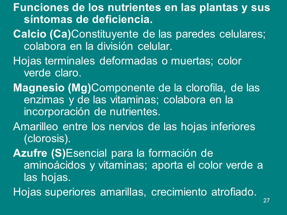 Funciones de los nutrientes en las plantas y sus síntomas de deficiencia.