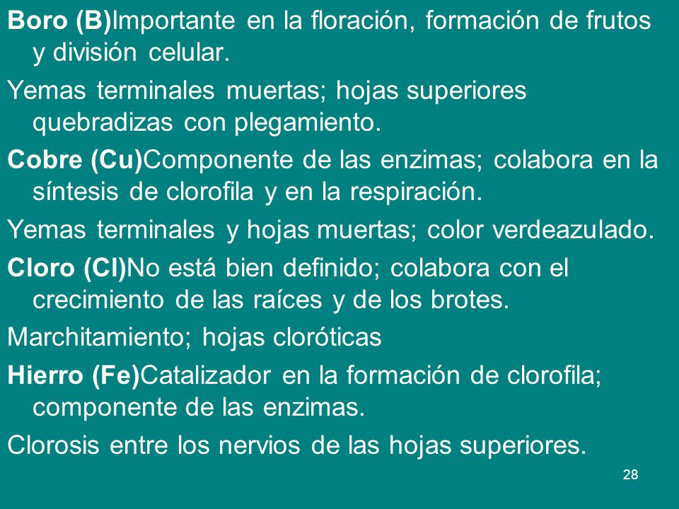 Boro (B)Importante en la floración, formación de frutos y división celular.
