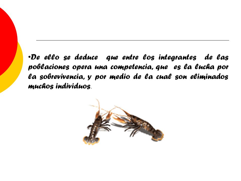 De ello se deduce que entre los integrantes de las poblaciones opera una competencia, que es la lucha por la sobrevivencia, y por medio de la cual son eliminados muchos individuos.