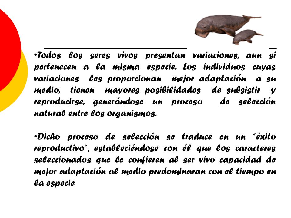 Todos los seres vivos presentan variaciones, aun si pertenecen a la misma especie. Los individuos cuyas variaciones les proporcionan mejor adaptación a su medio, tienen mayores posibilidades de subsistir y reproducirse, generándose un proceso de selección natural entre los organismos.