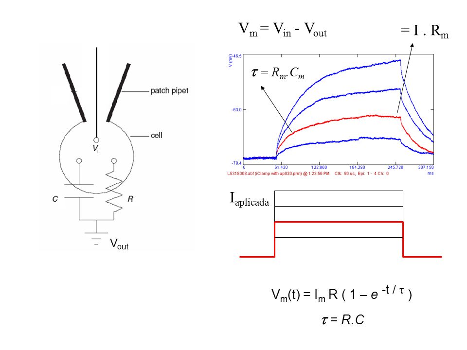 Vm = Vin - Vout = I . Rm  = Rm.Cm Iaplicada  = R.C