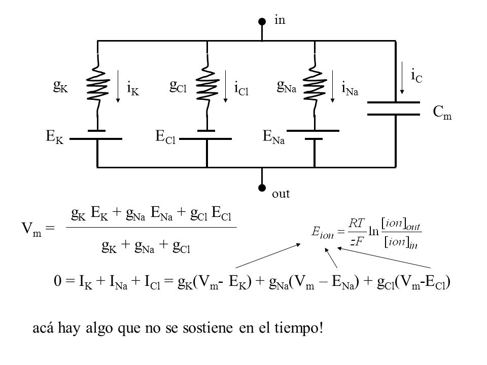 0 = IK + INa + ICl = gK(Vm- EK) + gNa(Vm – ENa) + gCl(Vm-ECl)