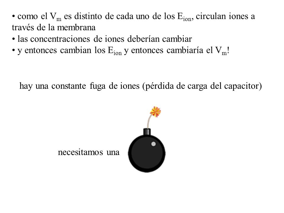 como el Vm es distinto de cada uno de los Eion, circulan iones a través de la membrana