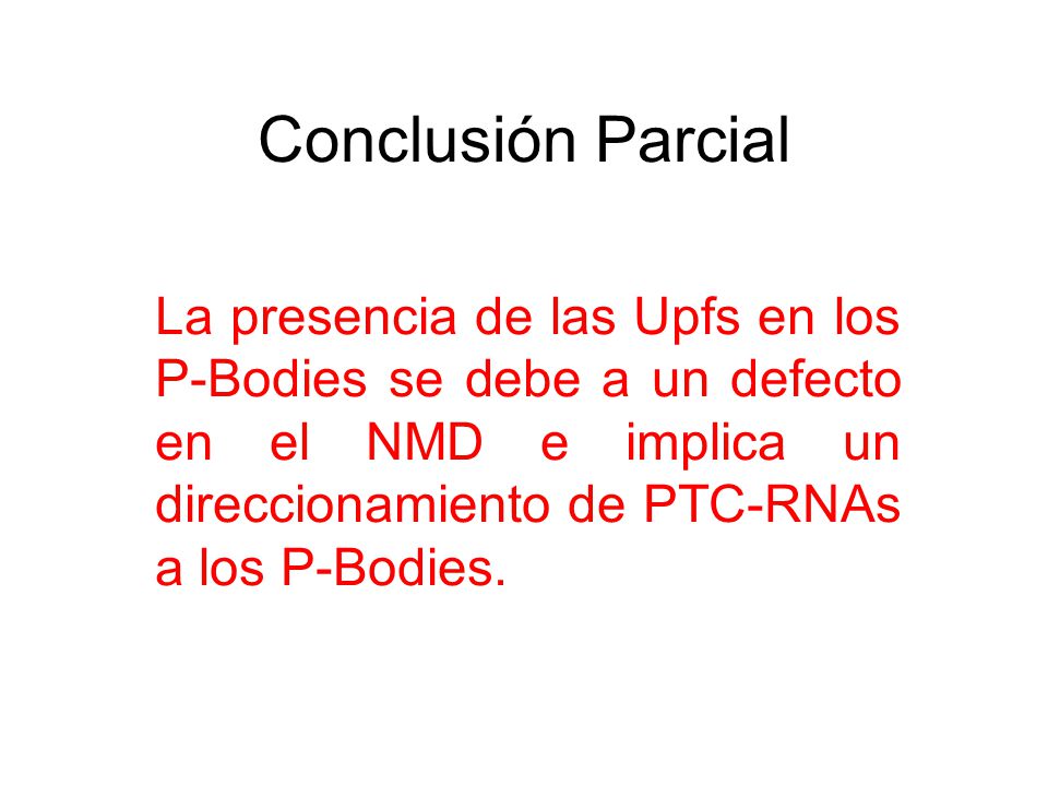 Conclusión Parcial La presencia de las Upfs en los P-Bodies se debe a un defecto en el NMD e implica un direccionamiento de PTC-RNAs a los P-Bodies.