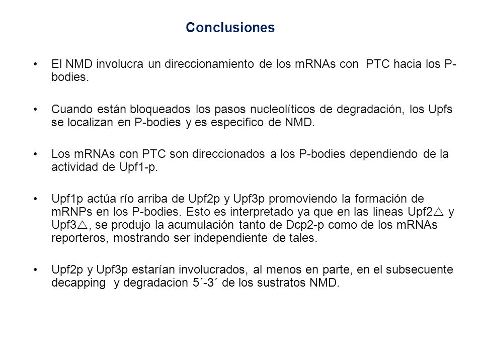 Conclusiones El NMD involucra un direccionamiento de los mRNAs con PTC hacia los P-bodies.