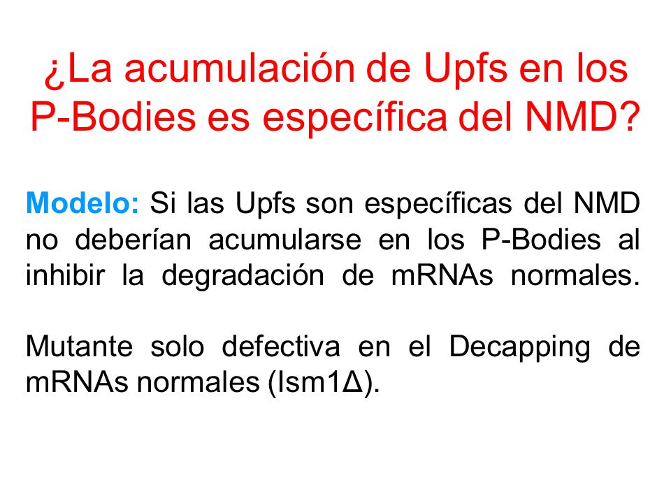 ¿La acumulación de Upfs en los P-Bodies es específica del NMD