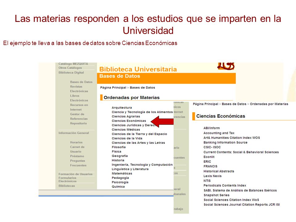 Las materias responden a los estudios que se imparten en la Universidad