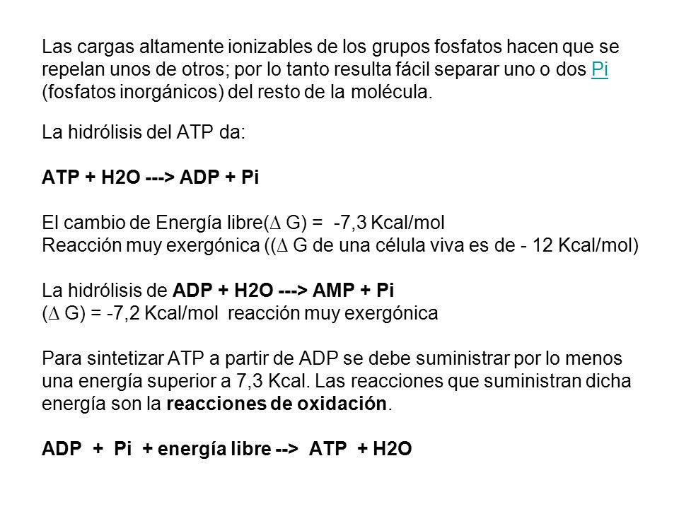 Las cargas altamente ionizables de los grupos fosfatos hacen que se