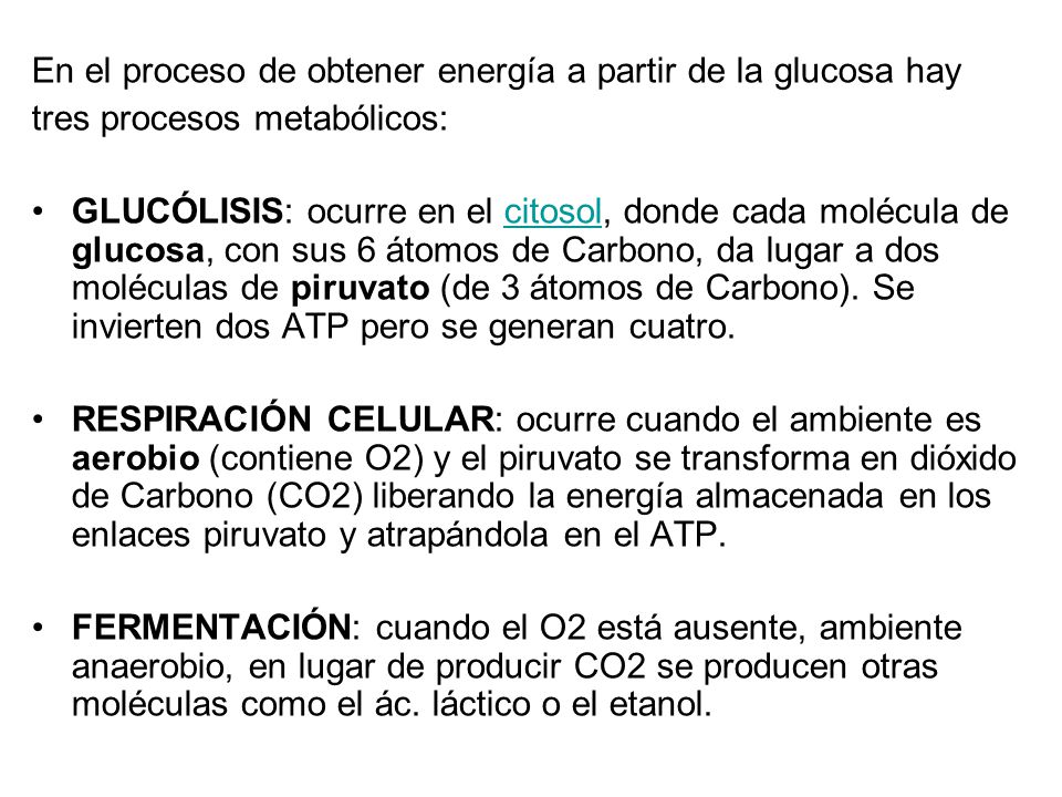 En el proceso de obtener energía a partir de la glucosa hay