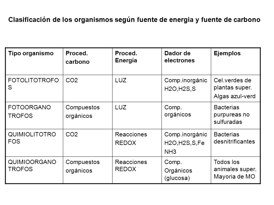 Clasificación de los organismos según fuente de energia y fuente de carbono