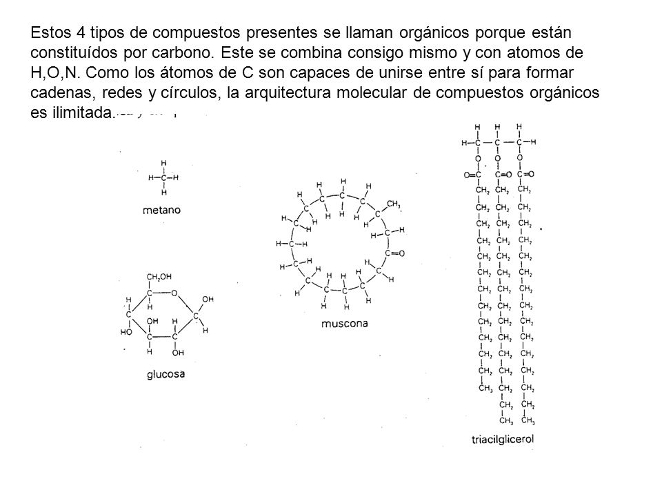 Estos 4 tipos de compuestos presentes se llaman orgánicos porque están constituídos por carbono.