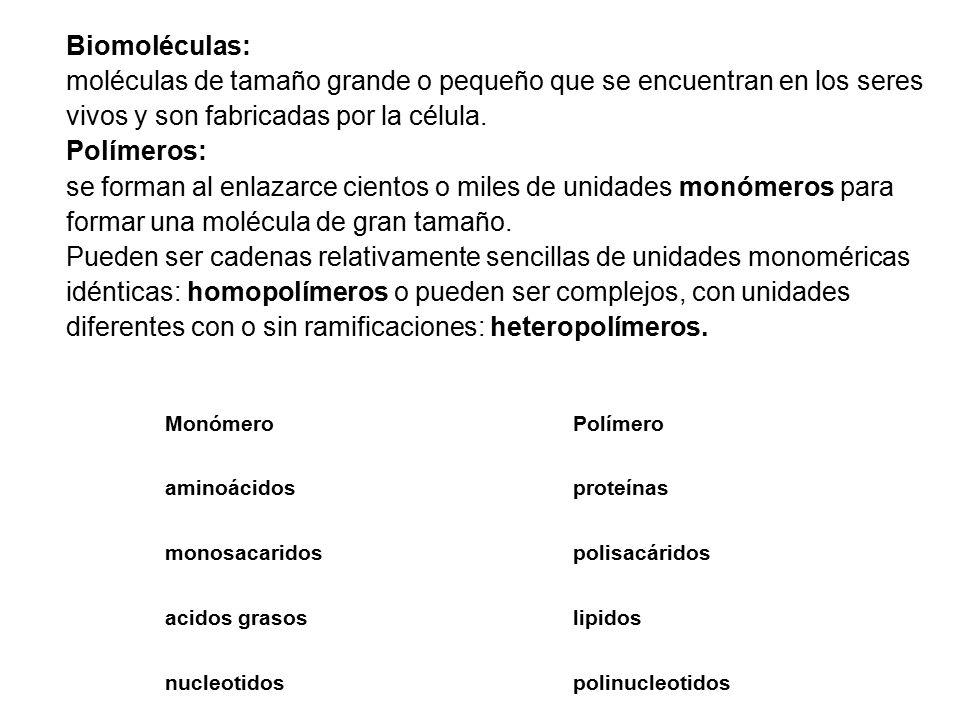 moléculas de tamaño grande o pequeño que se encuentran en los seres