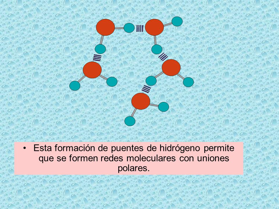 Esta formación de puentes de hidrógeno permite que se formen redes moleculares con uniones polares.